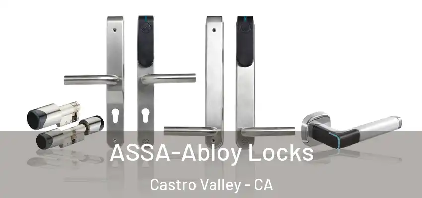  ASSA-Abloy Locks Castro Valley - CA