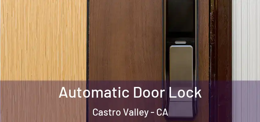 Automatic Door Lock Castro Valley - CA