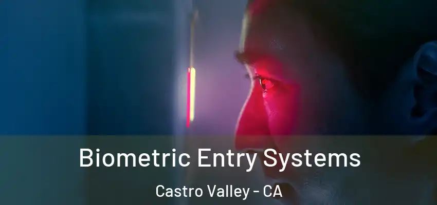 Biometric Entry Systems Castro Valley - CA