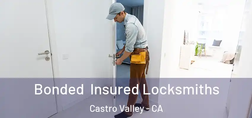  Bonded Insured Locksmiths Castro Valley - CA