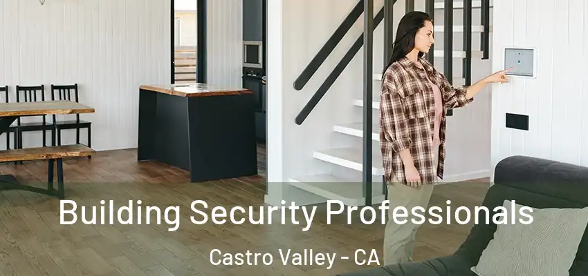 Building Security Professionals Castro Valley - CA