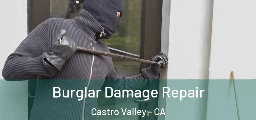  Burglar Damage Repair Castro Valley - CA