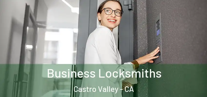  Business Locksmiths Castro Valley - CA