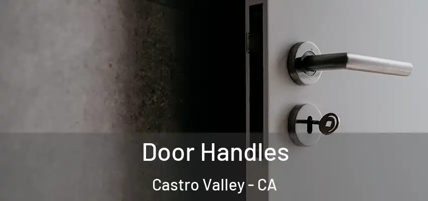 Door Handles Castro Valley - CA