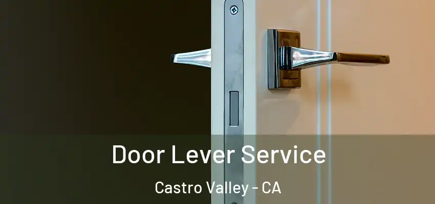 Door Lever Service Castro Valley - CA
