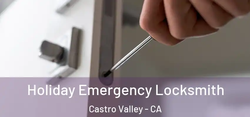  Holiday Emergency Locksmith Castro Valley - CA