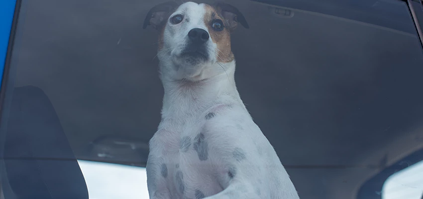 Car Lockout Solutions in Castro Valley, California