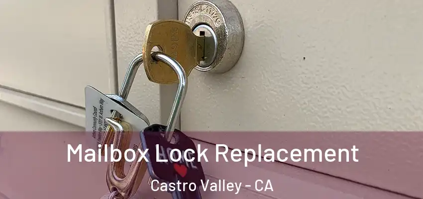  Mailbox Lock Replacement Castro Valley - CA