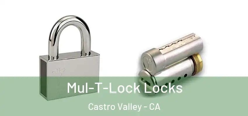  Mul-T-Lock Locks Castro Valley - CA