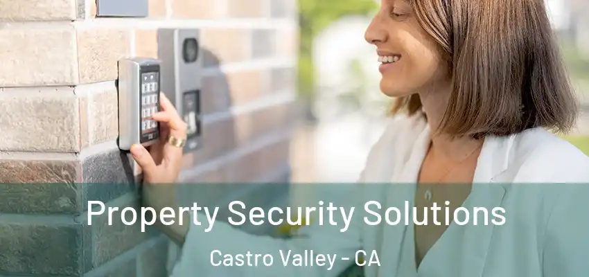 Property Security Solutions Castro Valley - CA