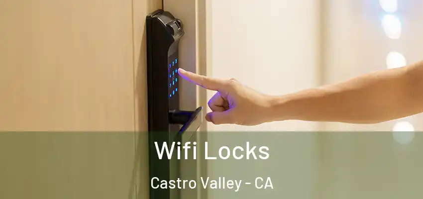  Wifi Locks Castro Valley - CA